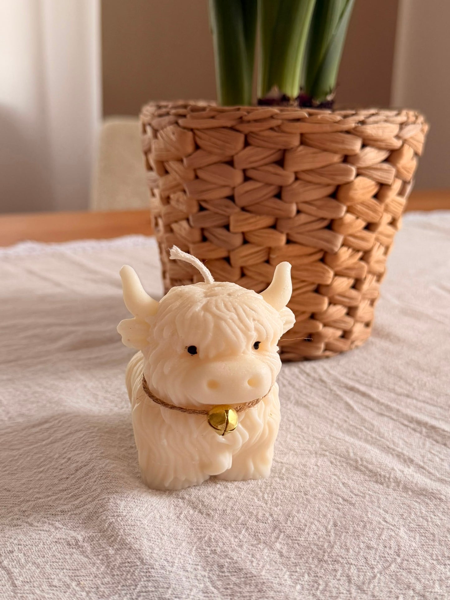 Highland Cow – Handgemachte Rapswachskerze