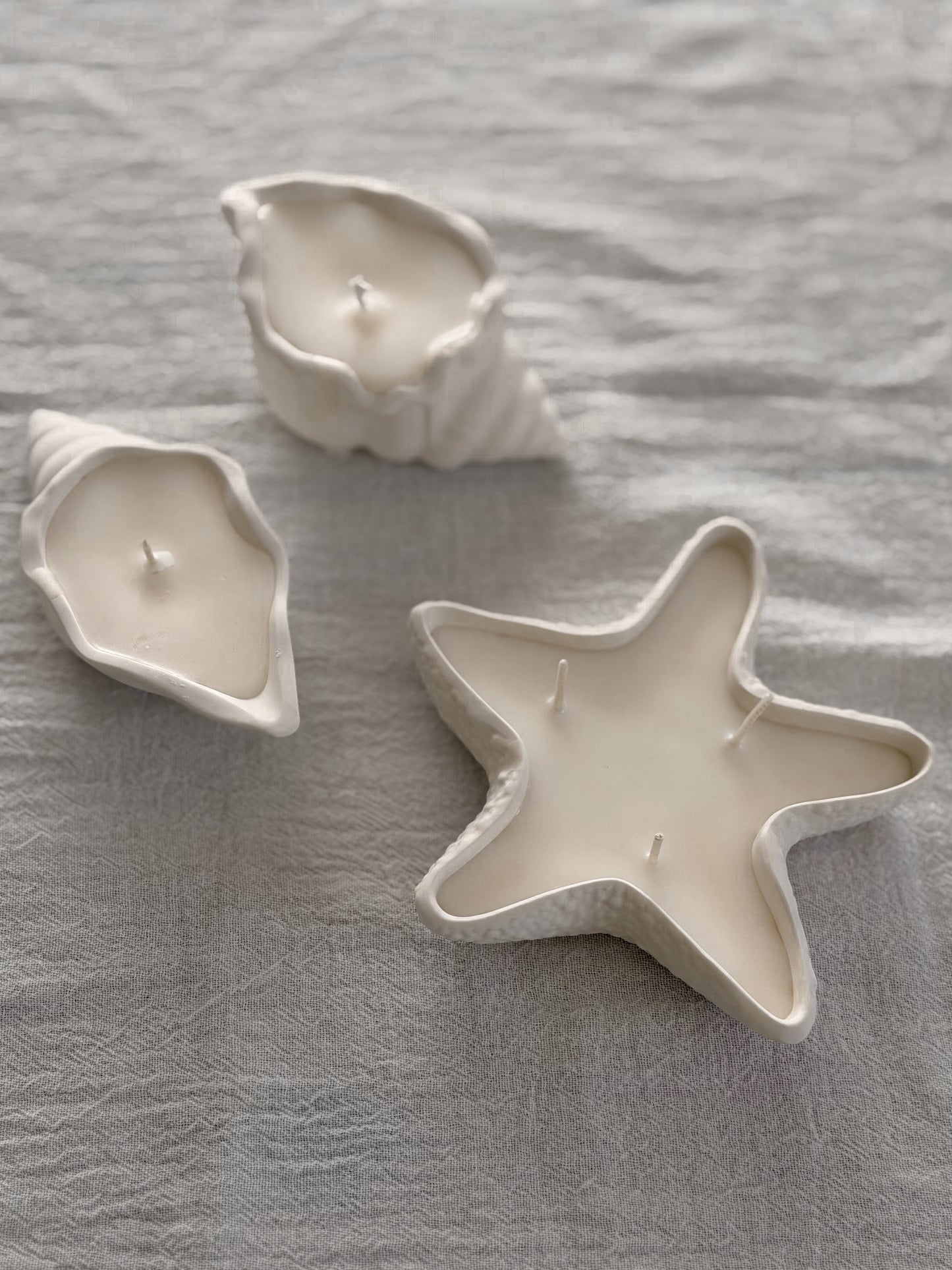 Muschel-Schale aus Jesmonite Set x2
