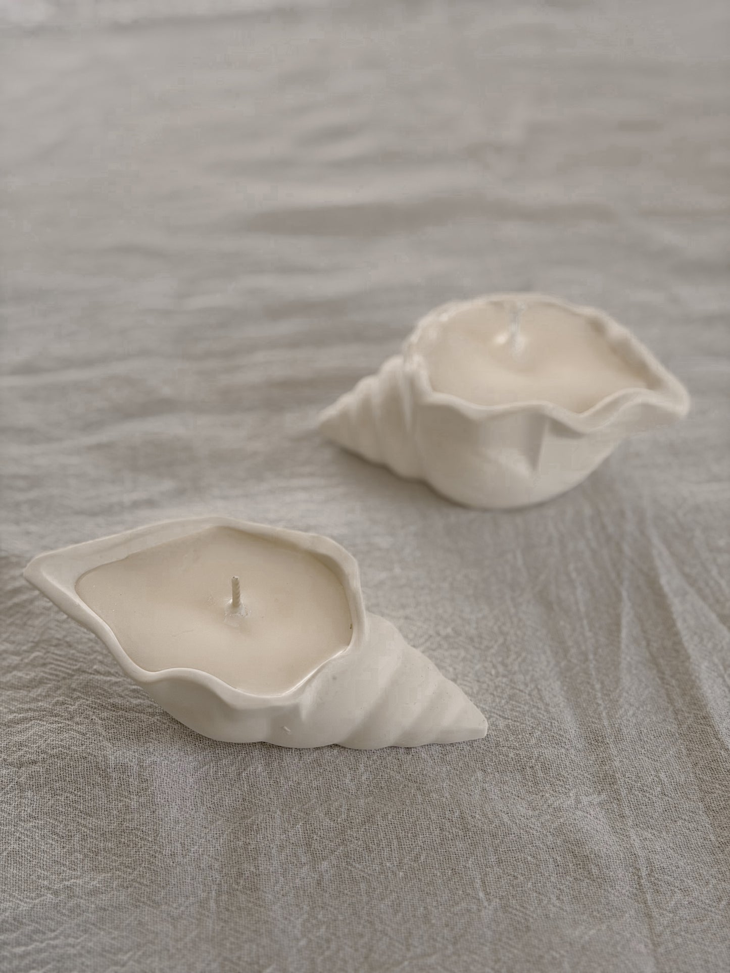 Muschel-Schale aus Jesmonite Set x2
