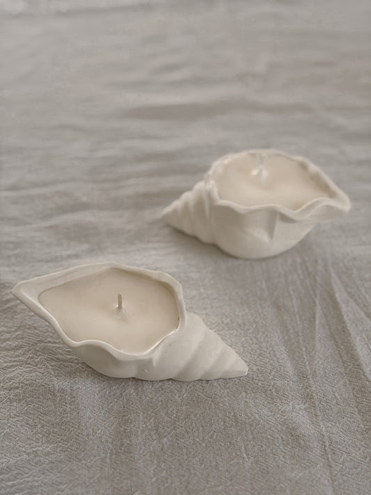 Muschel-Schale aus Jesmonite Set x2